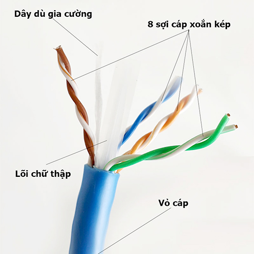 cap-mạng-Commscope-CAT6-1427254-6